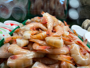 USA Gulf Brown and White Shrimp
